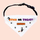 Personalised Stick or Treat Funny Halloween Dog Bandana, Cute Pumpkin Dog Outfit, Funny Halloween Dog Costume, Halloween Pet Accessory