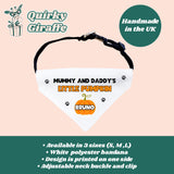 Personalised Mummy and Daddy Little Pumpkin Halloween Dog Bandana, Funny Halloween Dog Collar, Pumpkin For Dog, Cute Dog Halloween Outfit