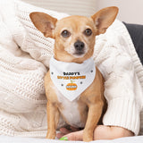 Personalised Daddy's Little Pumpkin Halloween Dog Bandana, Cute Pumpkin Dog Outfit, Funny Halloween Dog Costume, Halloween Pet Accessory