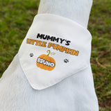 Personalised Mummy and Daddy Little Pumpkin Halloween Dog Bandana, Funny Halloween Dog Collar, Pumpkin For Dog, Cute Dog Halloween Outfit