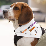 Personalised Stick or Treat Funny Halloween Dog Bandana, Cute Pumpkin Dog Outfit, Funny Halloween Dog Costume, Halloween Pet Accessory