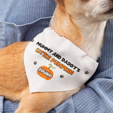 Personalised Mummy and Daddy Little Pumpkin Halloween Dog Bandana, Funny Halloween Dog Collar, Pumpkin For Dog, Cute Dog Halloween Outfit