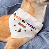 Personalised Stick or Treat Funny Halloween Dog Bandana, Cute Pumpkin Dog Outfit, Funny Halloween Dog Costume, Halloween Pet Accessory