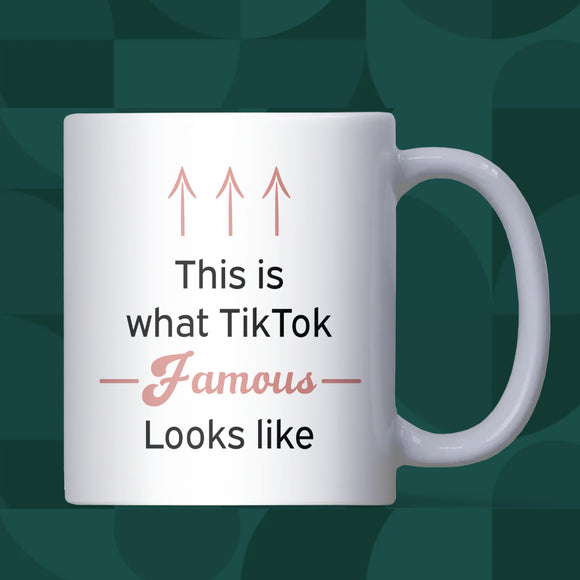 TikTok Famous Mug, Funny Social Media Gift, TikTok Creator Mug, Funny Gift for Daughter or Son, TikTok Secret Santa Gift