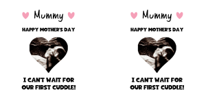 Mug Mockup Design Image