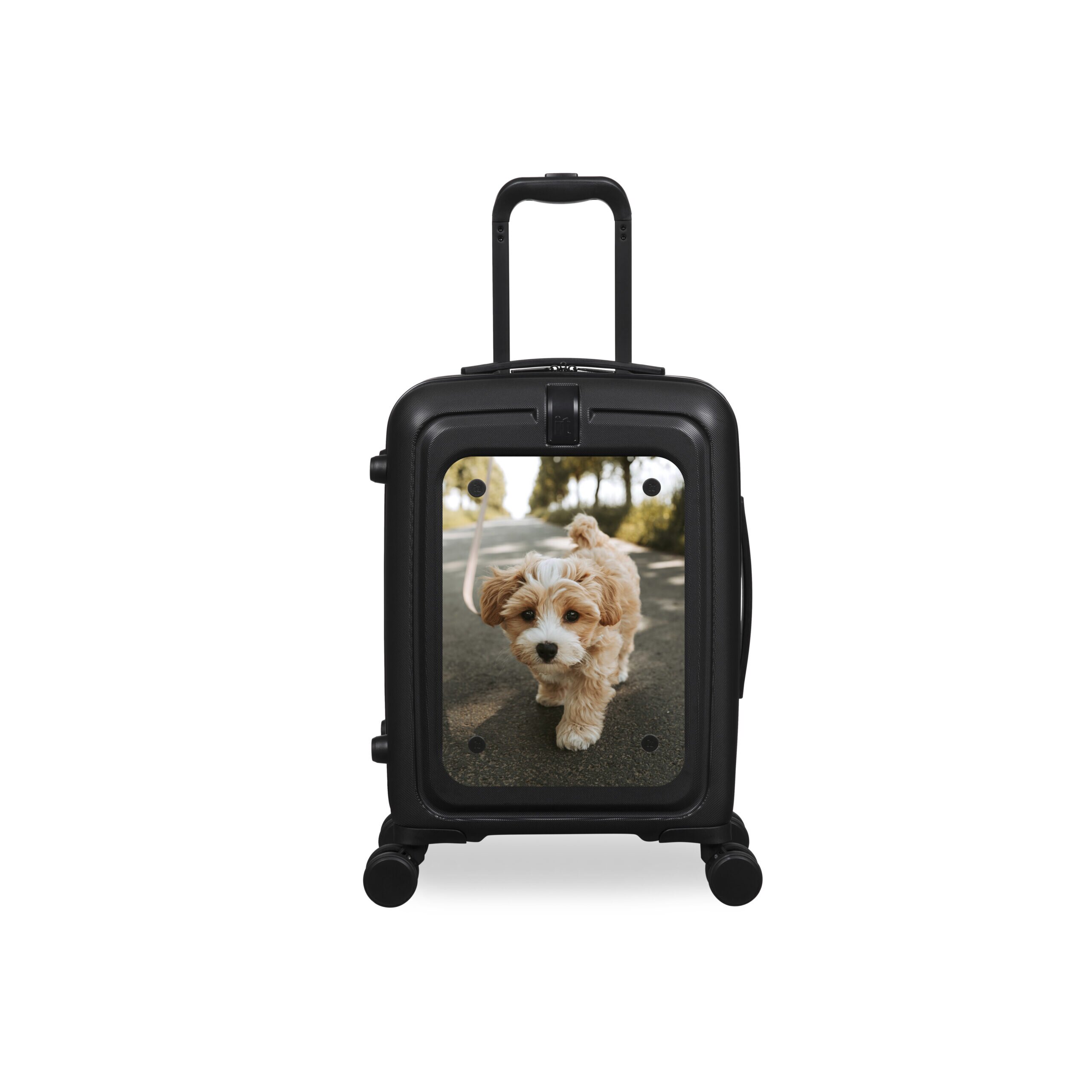 TEST Luggage2