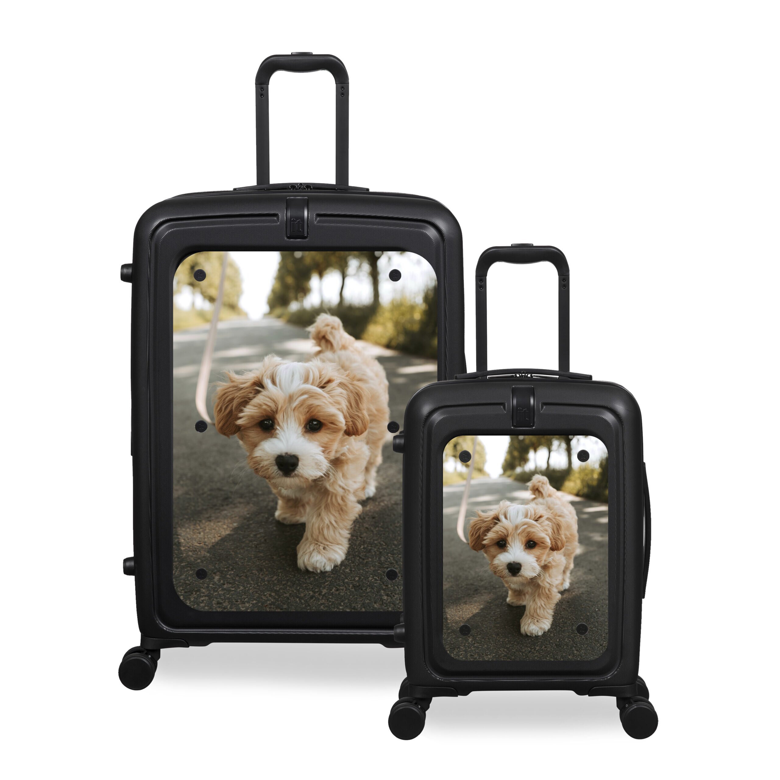 TEST Luggage2